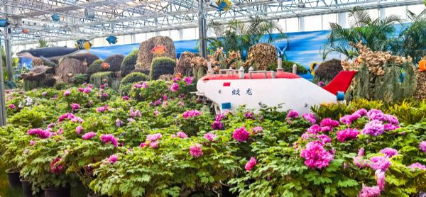 內(nèi)蒙古通遼和佑首屆農(nóng)業(yè)嘉年華