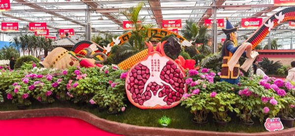 內(nèi)蒙古通遼和佑首屆農(nóng)業(yè)嘉年華